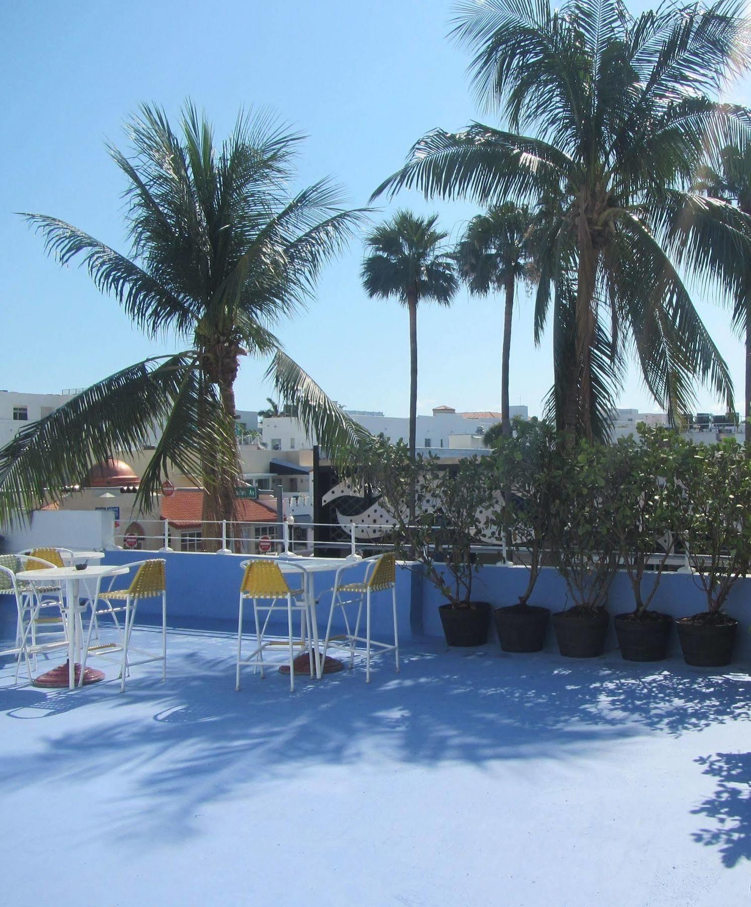 Royal Hotel South Beach Miami Beach Bagian luar foto